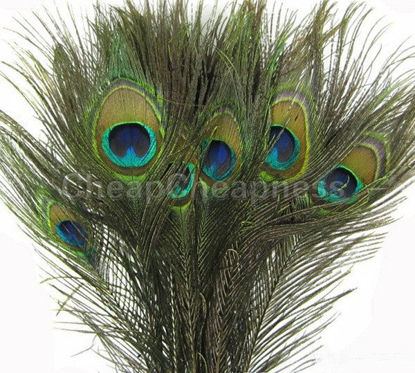 50pcs Real Natural Peacock Eye Tail Feathers Beautiful Natural Feathers Wedding Party Home Hairs DIY Decoration