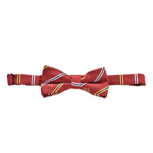 10 Designs Kids Tie Cute Lovely Sunflower Stripe Dot Bear Spiderman Print Adjustable Bowtie Classic Children Bow Tie