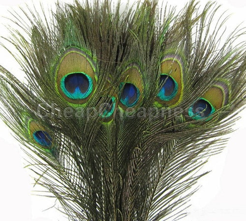 50pcs Real Natural Peacock Eye Tail Feathers Beautiful Natural Feathers Wedding Party Home Hairs DIY Decoration