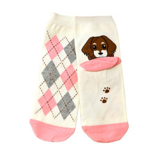 3D Animals Cartoon Socks Women Puppy Footprints Floor Cotton sock Women's Casual Charactor Socks
