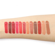 12 Colors Set Moisturizing Matte Liquid Lipstick Lip Gloss Stick Makeup Cosmetic