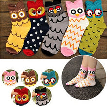 5 Colors Women Cute 3D Owl Print Socks Durable Casual Socks